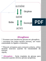 Aula 5 - Síntese Da Glicose e Polissacarídeos