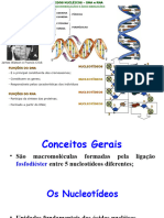 Aula 7 - Metabolismo Dos Acidos Nucleicos