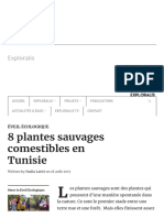 8 Plantes Sauvages Comestibles en Tunisie - Exploralis