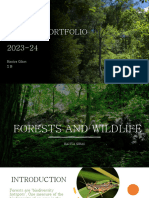 Forest and Wildlife