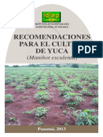 Recomendaciones para El Cultivo de Yuca