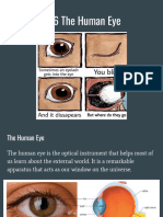 L11. 13.6 The Human Eye