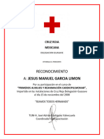 Certificado RCP 2