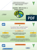 Enfermedades Ambientales y Ocupacionales