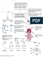 Mapa Mental - Digestão e Absorção de Carboidrato OK