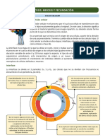 Clase 7 - Mitosis, Meiosis y Fecundación