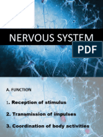 Nervous System