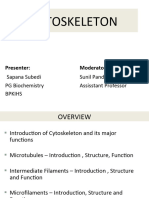 Cytoskeleton