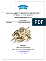 Dimensionnement Et Conception Du Station de Traitement Des Eaux Blanches