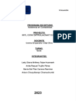 +proyecto de Inversión Distribuidora MYL-COW SRL - Programa Asistencia en Contabilidad