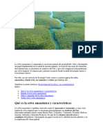 La Selva Amazónica o Amazonía Es Un Tesoro Natural de Incalculable Valor y Desempeña Un Papel Fundamental en La Salud de Nuestro Planeta