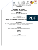 Cuadro Comparativo Auditoria Administrativa