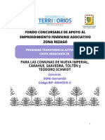 Bases Técnicas Asociativa Fondo Concursable Asociativo Activa Mujer Costa Araucania ZR