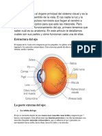 El Ojo Humano Es El Órgano Principal Del Sistema Visual y Es La Base de Nuestro Sentido de La Vista