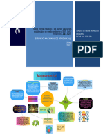 Mapa Mental Planes y Acciones SST