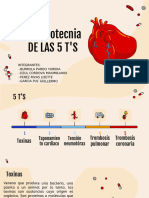 Equipo Mnemoctenia 5ts