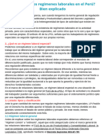 ¿Cuáles Son Los Regímenes Laborales en El Perú Bien Explicado