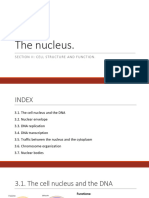 Unit 3. The Nucleus