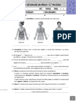 Avaliação Intercalar - 1.º Período