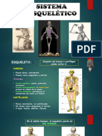 1 Anatomia Sistema Esqueletico.1