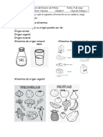 Hojas de Ciencias U4 1