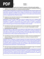 Certamen 4 Pauta