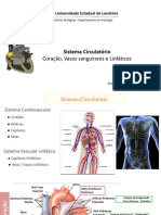 Aula 1. Coração e Vasos