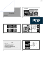 Ecografía Abdominal