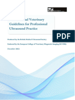 Small Animal Veterinary Guidelines For Professional Ultrasound Practice