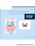 Glándula Tiroides y Paratiroides