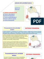 Procesamiento Motor I