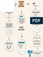 Acidos Nucleicos - Mariana Arismendi
