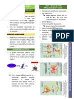 Chap9 Endocrine Anaphy Notes