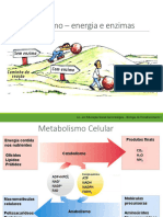 BEI-3. Metabolismo-Energia e Enzimas