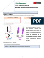 Ficha de Aprendizaje N°03 - 4to Grado