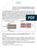 T7 La Menbrana Plasmática, Etc