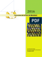 Panorama Pera 2016