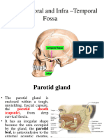 Parotid + Teporal and Infra Temporal