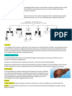 Guia Fisiopatologia 2023 (1) - Removed