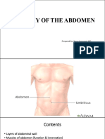 Anatomy of The Abdomen