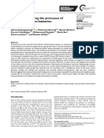 Towards Robotizing The Processes of LIB