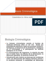 La Síntesis Criminológica