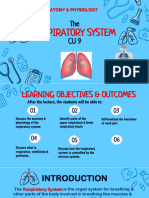 Salcedo ANPH 111 Lec Respiratory System 23