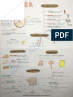 Infografia Madera