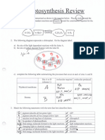 Photosynthesis Review KEY