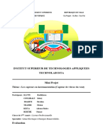 Rapport Mini Projet Capteur de Vitesse Du Vent-Technolab