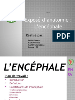 Encéphale