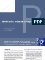 Identificación y Evaluación de Riesgos Psicosociales Metodología CoPsoQ-istas21