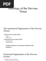 11 Histology of The Nervous Tissue