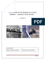 Procedimiento de Trabajo en Altura Marcelo Vidal Seguel